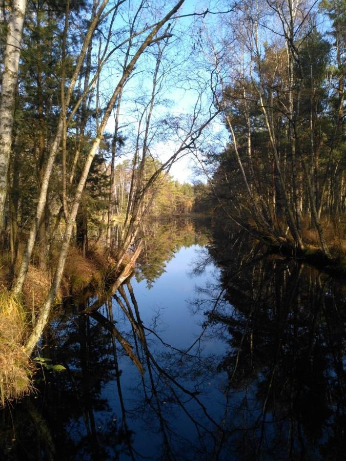 Moorhexe 2 Gelbensande